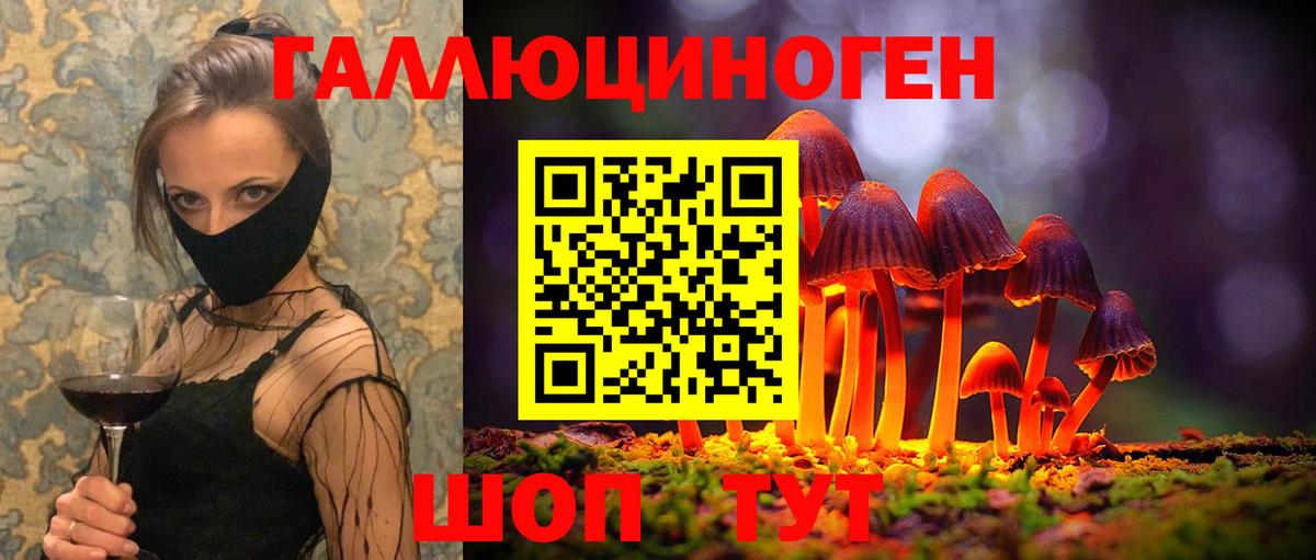Псилоцибиновые грибы Psilocybe  хочу   Можга  Вход с VPN 